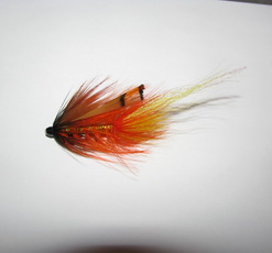 �������� ���� Shrimp ��������� ������ (���� 1 ���� D 2,6 ��������� ������������)